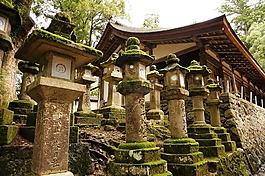 灯笼,日本,寺
