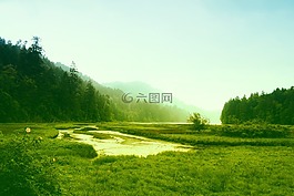 加拿大,日出,上午