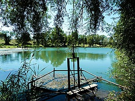 湖,vallabrègues,水