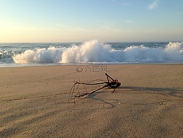 漂流木,海洋,波
