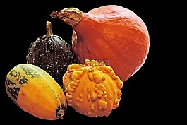 南瓜,蔬菜,食品