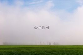 在早晨的霧,霧,景觀