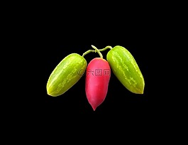 蔬菜,黄瓜,cukes