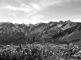 高山,山,春天