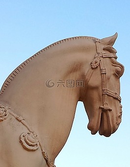 雕像,馬,動(dòng)物