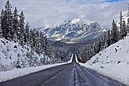 公路,透視,旅程