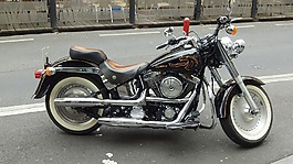 哈雷,摩托車,krad