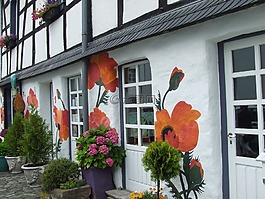 hauswand,壁畫,klatschmohn
