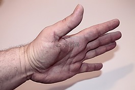 棕榈,手,笔势