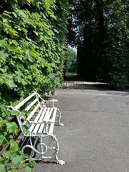 板凳,銀行,性質(zhì)