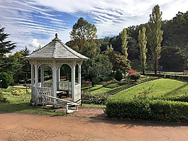花園,草坪,水杉