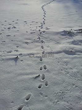 斯諾巷,雪中痕跡,冬天