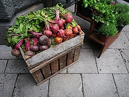 蔬菜,蘿卜,食品