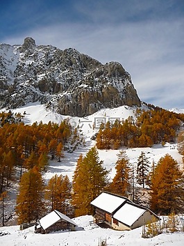 阿爾卑斯山,山,木屋