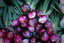 洋蔥,韭菜,蔬菜