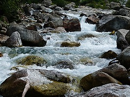 河,石,水