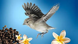 鳥,小鳥,性質(zhì)