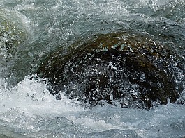 河,石,水