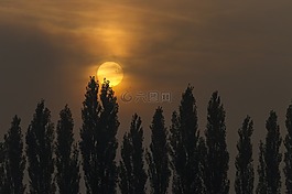 日出,太陽,心情