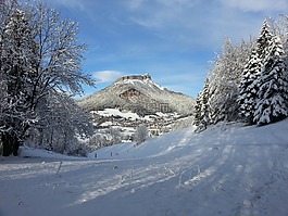 景觀,雪,玫瑰