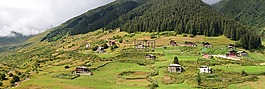 土耳其,黑海东,rize