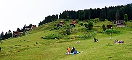 土耳其,黑海东,rize