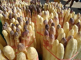 蔬菜,蘆筍,春天