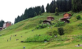土耳其,黑海东,rize