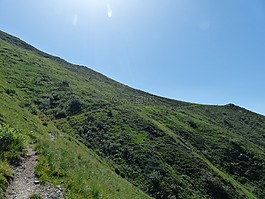 遠足,山,草坡