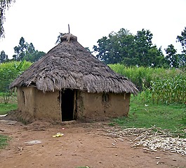 小屋,肯尼亞,非洲