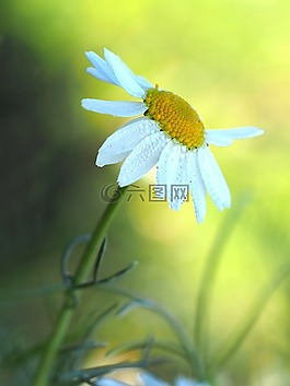 廠,性質(zhì),活