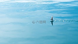 見,海洋,藍色