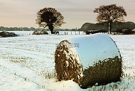雪,干草,包