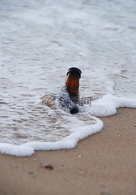 啤酒,海,海灘