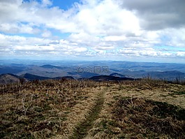 黑色的香脂,徒步旅行,自然