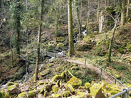 wieladingen,無骨谷,黑色的森林