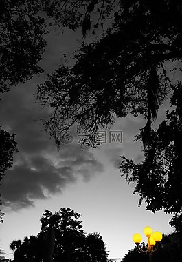夜,光,路燈