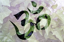 om,冥想,植物