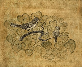 鸟,图,旧