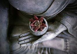 佛,冥想,雕像