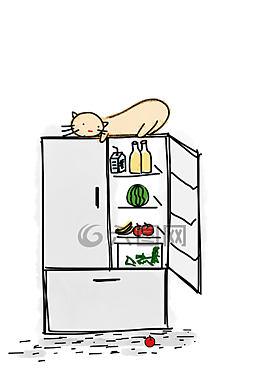 貓,冰箱,食品