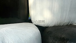 干草,巴萊,干草捆