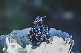 性质,户外,没有一个人