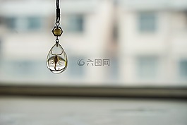 蝎子,項(xiàng)鏈,禮物