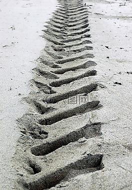 軌道,海灘,沙