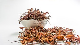 丛林gernnium,茜草科,鲜花