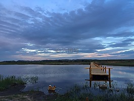天空,狗,水