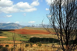 景观,veld,山