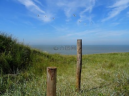 北海,海灘,沙丘