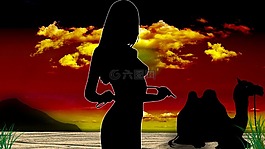 日落,女子,駱駝